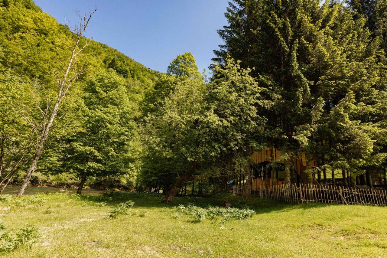Treehouse Kupari Nacionalni Park Risnjak Cabar Exterior photo